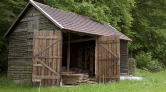 Das Objekt der Begierde©EIKON Media GmbH