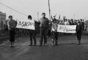 3.a FLORIN BRANDAS_1989