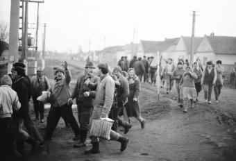 5.a SANPETRU MARE_1989