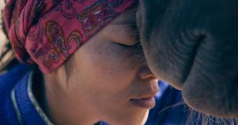 SCHWARZE MILCH-Gunsmaa Tsogzol-OSSI-ZellnerBorchuFilm