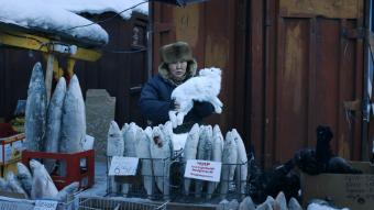 KOLYMA-Verkäuferin auf dem Fleischmarkt in Jakutien bei minus 50°C (c) Enno Endlicher
