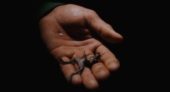 The Dust of Modern Life _ still 2