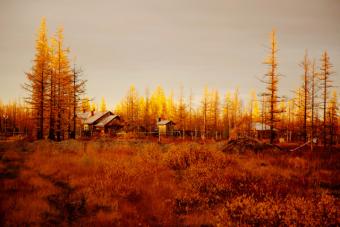 ©ZMusikic_Ghosts_Jarodej