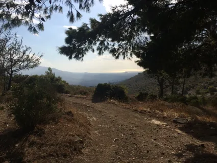  (c) Patrick Batarilo